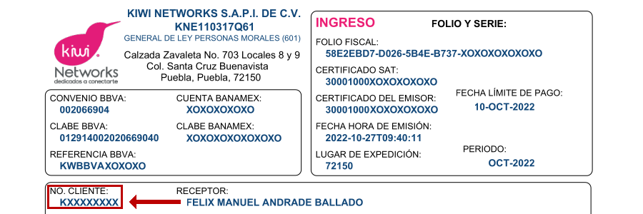 Customer info